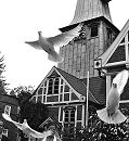 11_21481 Um dem Hochzeitspaar vor der Bergedorfer Kirche Glck fr ihre Ehe zu wnschen werden weisse Tauben in die Freiheit gelassen. Sie fliegen vor der Fachwerkkirche aus ihrem Kfig in die Luft. www.hamburg-fotograf.com
