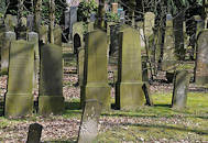 1334 Grabsteine Jdischer Friedhof Hamburg Bahrenfeld, Bornkampsweg.