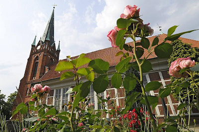 4090099 Hamburger Kirchen St. Nikolaikirche HH-Moorfleet - blhende Rosen auf dem Friedhof.